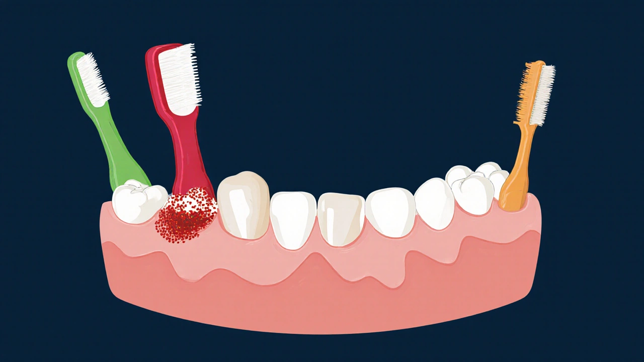 Kostra čelisti s barevně označenými velikostmi mezizubních kartáčků a plakem.
