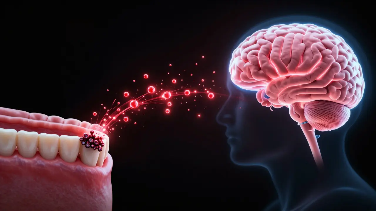 Konceptuální ilustrace znázornující přenos zánětlivých částic z dásní do mozku.