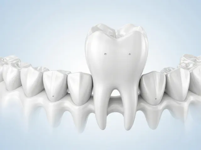 Co je to třenový zub? Podrobný průvodce funkcí a péčí